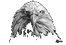 eagle.gif (2717 bytes)